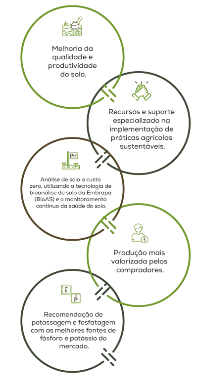 infografico-3s